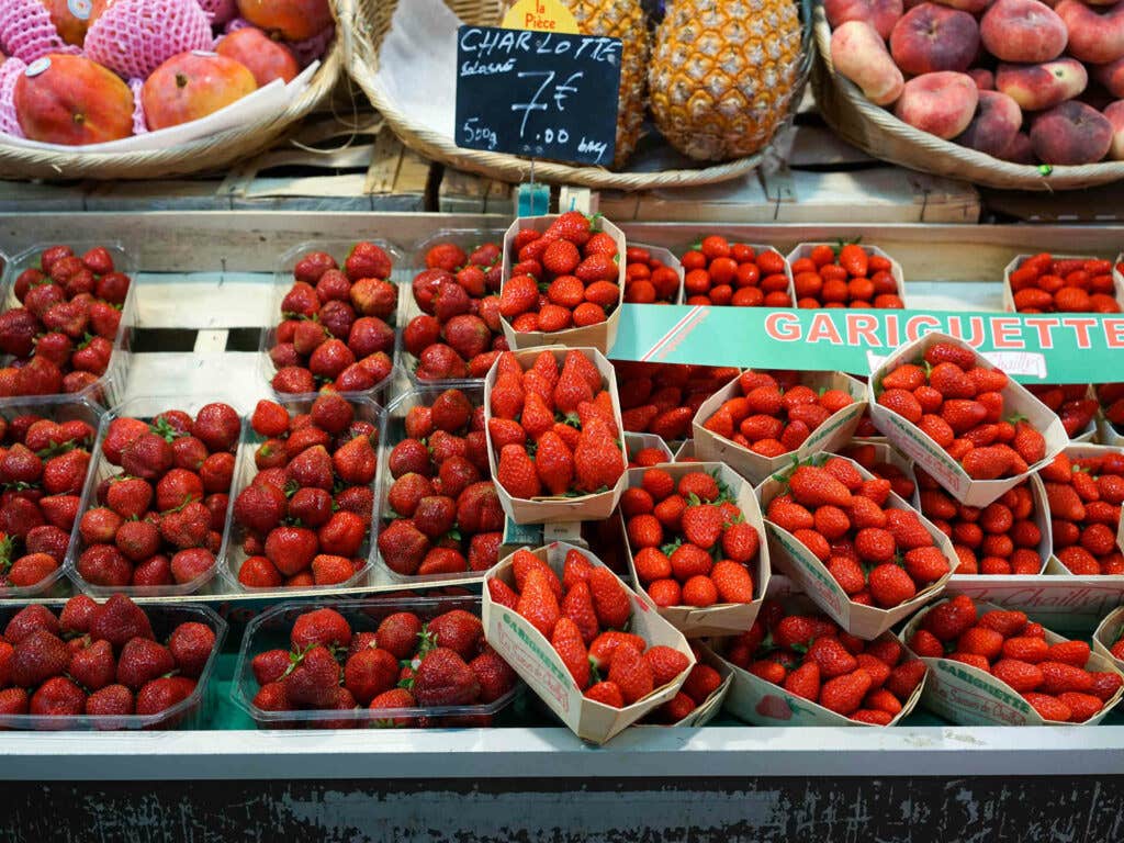 Charlotte Strawberries Charlotte Strawberries