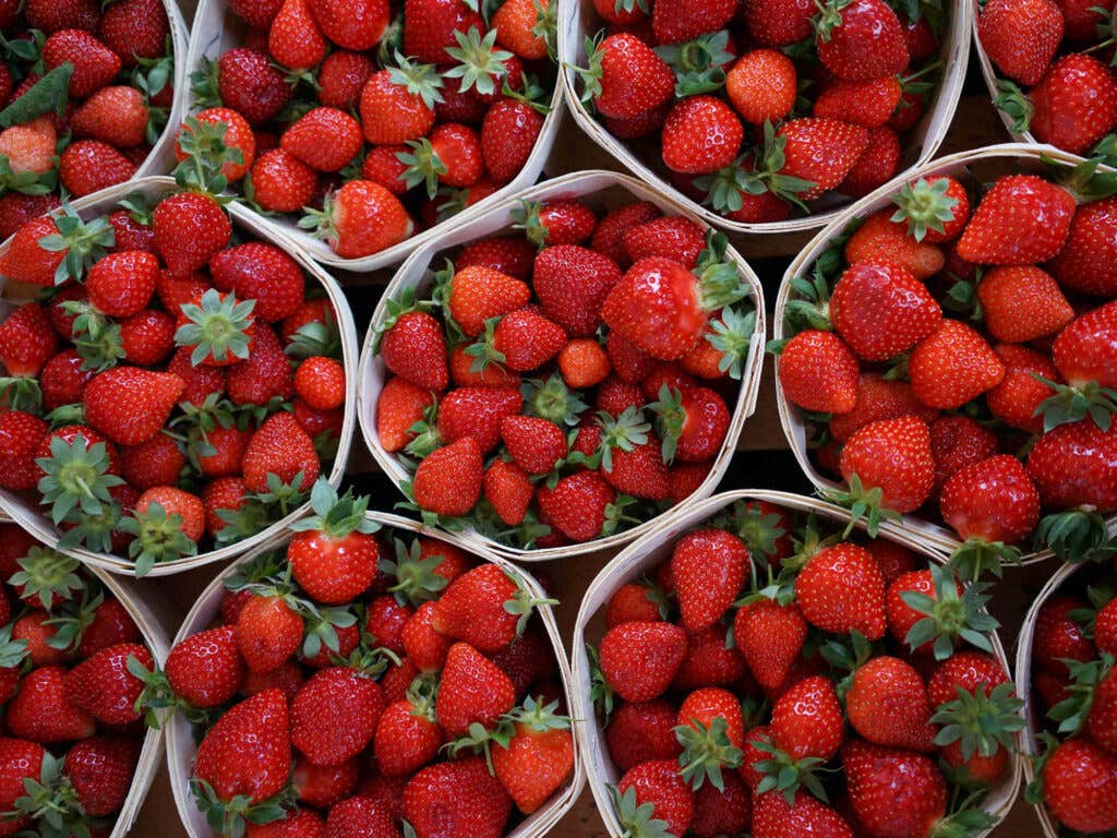 Mara de Bois Strawberries Mara de Bois Strawberries