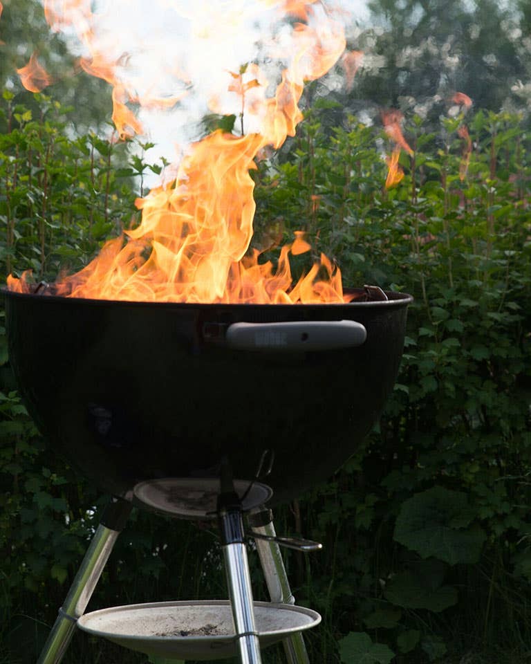 Best Grill Brands