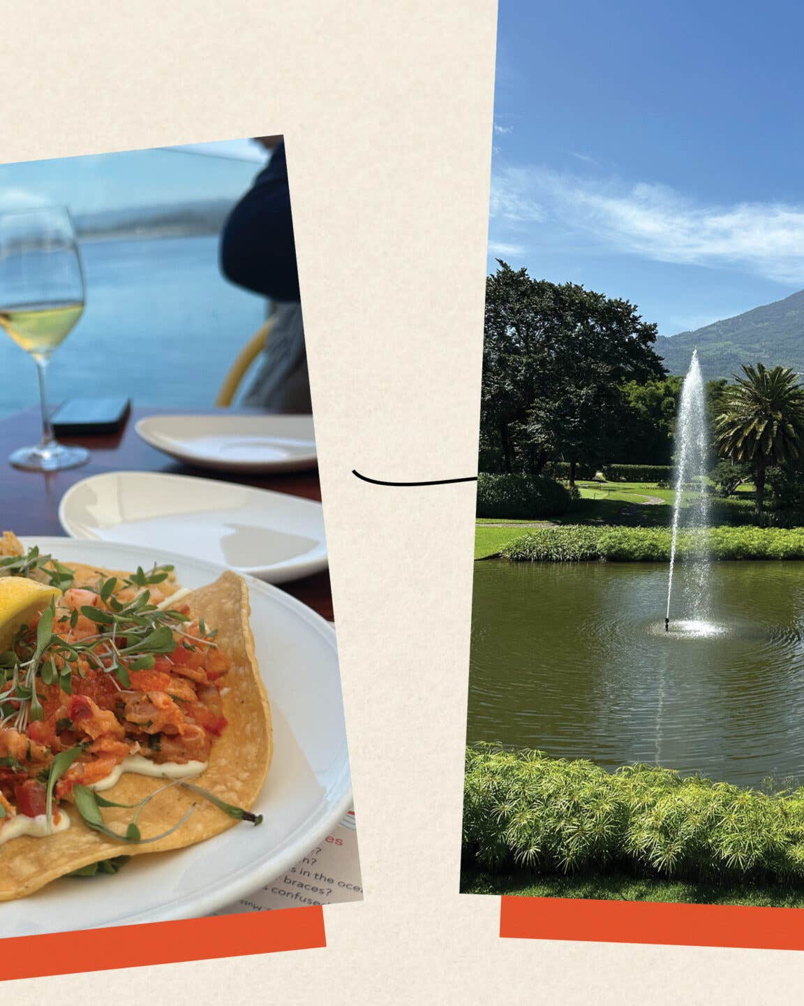 Best food trips