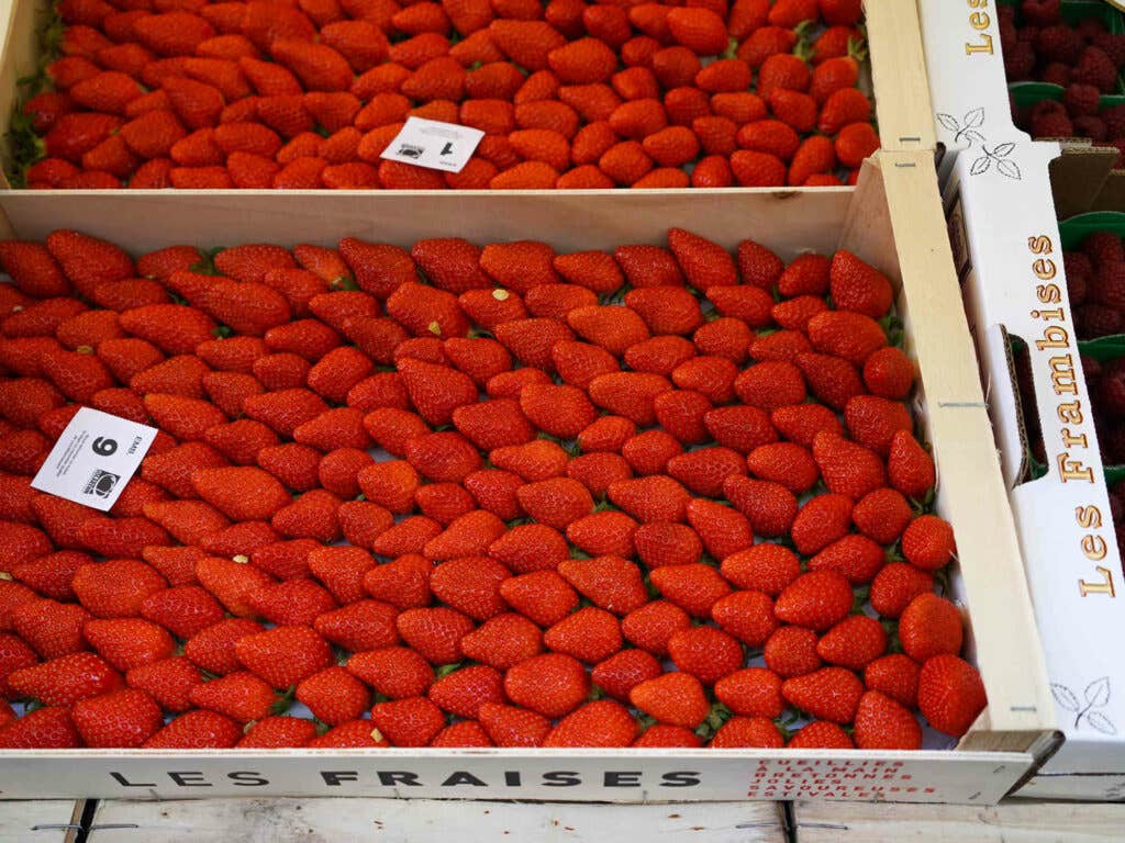 Gariguettes Strawberries Gariguettes Strawberries