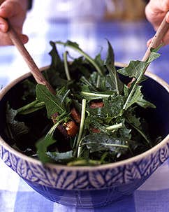 Dandelion Salad with Lardons