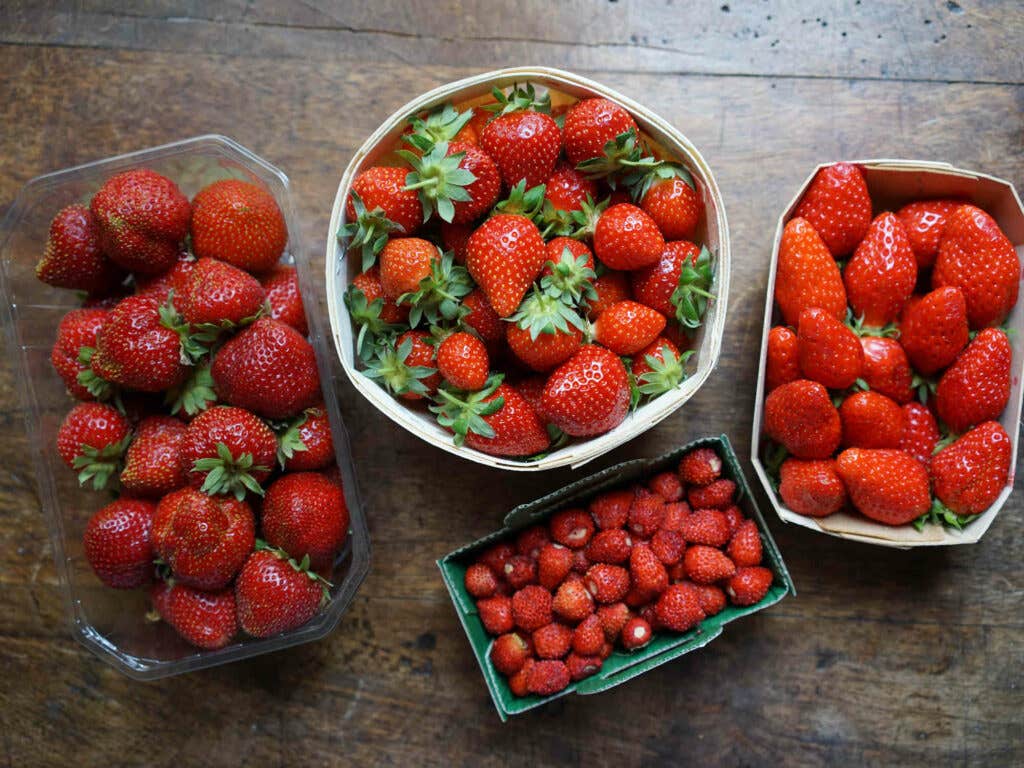 Strawberry Types Strawberry Types